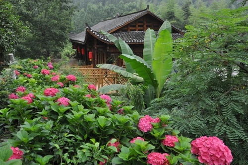 Wow, Beautiful ZJJ Landform Printed on Snow Beers!!!