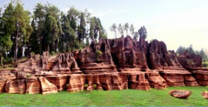 Red Carbonate-rock Forest Park  &quot;Most Beautiful Geopark of China&quot;