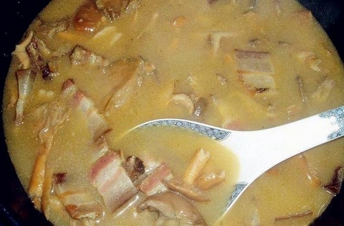 Stewed meat with wild fir bacteria