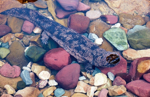 Depth Communication Between ZJJ and Thai Agencies and Media Opened