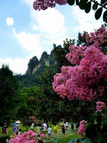 Promotion Seminar for ZJJ Tourism Projects Entered Kunming