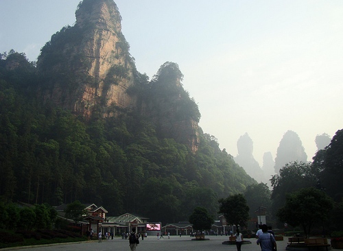 24-hour-on-duty System was Implemented in ZJJ National Forest Park