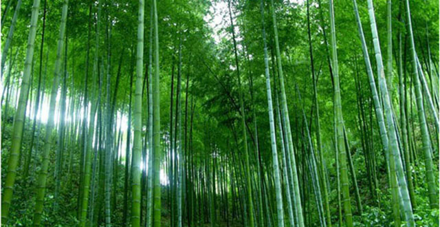 Hongjiang Ancient Commercial Town in China's Hunan