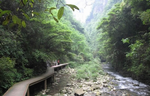 ZJJ Grand Canyon receipted about 50,000 students this summer