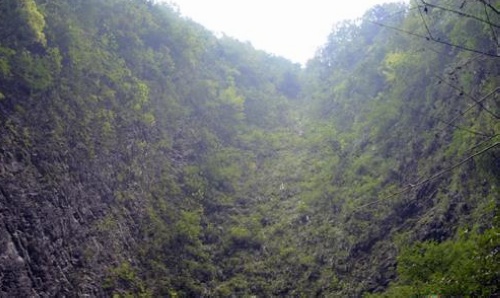 Mr Cheng Attends 2013 Shiga Eco Expo for Recommending ZJJ Ecological