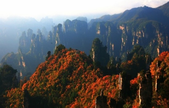 Zhangjiajie Among Top 10 Places to Appreciate Red Autumnal Leaves