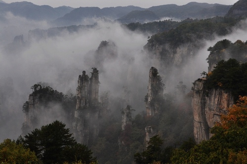 A Sea of Clouds in ZJJ Tianzi Mountain Like a Fairyland