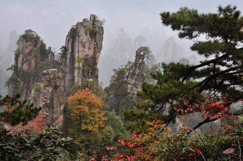 Zhangjiajie Become One of the Ten Top Autumn Scenic Spot