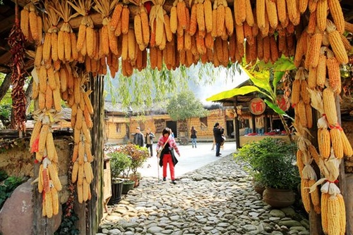 ZJJ Autumn Scenery-Yellow Dragon Cave Ecological Square Indulges Tourists