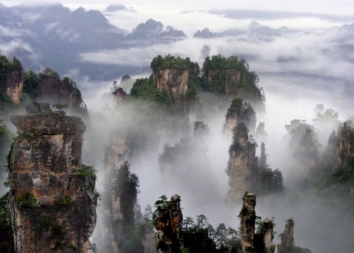 ZJJ National Forest Park to Perform free tickets For one week