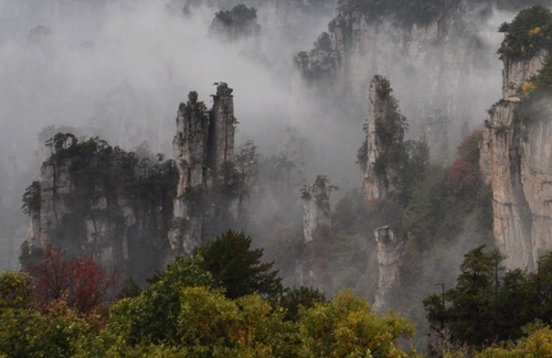 ZJJ Giant Salamander Science and Technology Museum Upgrades in Off-season