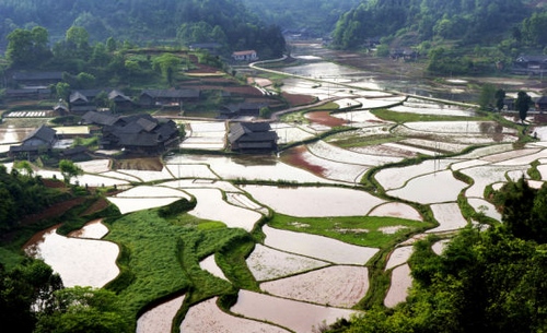 ZJJ Shiyangping Selected into National“Beautiful Countryside”Piolot Project