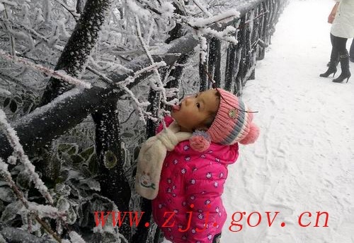 ZJJ Tianmenshan Ushered the first spring snow During Spring Festival