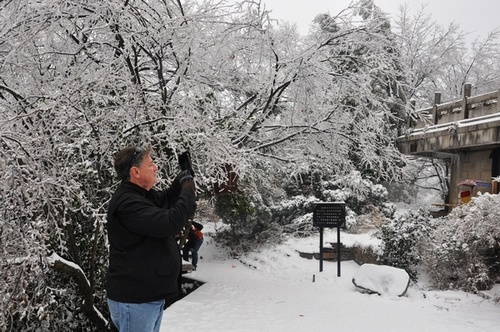 ZJJ Wulingyuan Charming Spring Attracted Many Photographers