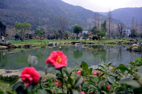 Wulingyuan Huanglong Hole Scenic Shows Blossoming Flowers