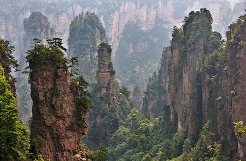 The Collection of Zhangjiajie Tourism Entrance Fee
