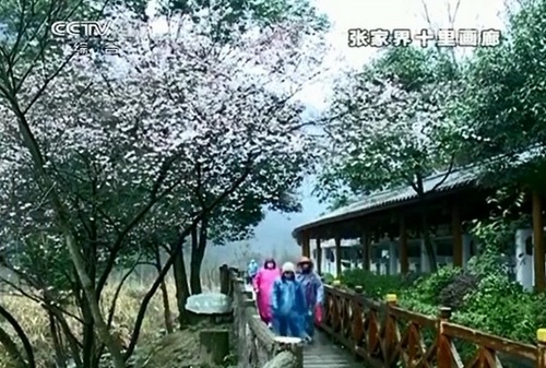 Changsha-Shaoshan Red Tourism Train to Open on March 19