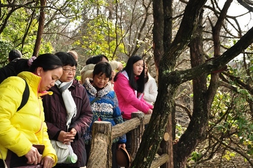 Zhangjiajie Will Open Air-route to Taiyuan