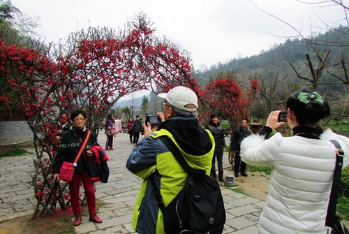 ZJJ Huanglong Hole Meets Plenty of Flower Tourists