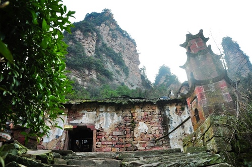 ZJJ Longfeng Temple Had a Forest Tourism Quality Construction
