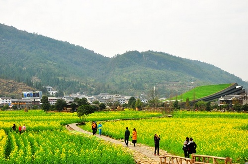 Wulingyuan Travel Agency Provides Advice for Tourism Development