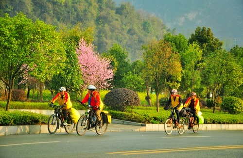 ZJJ Wulingyuan Hot Low-carbon Travel