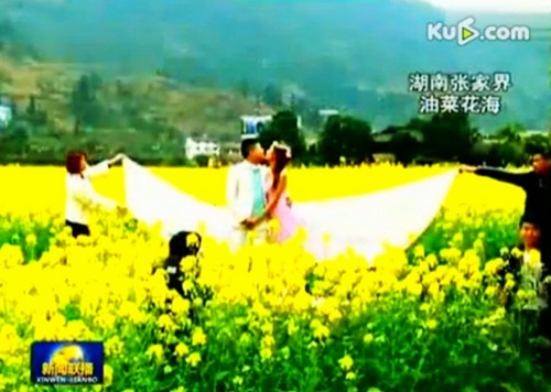 CCTV “News Broadcast” Shows the Rape Flowers of Huanglong cave