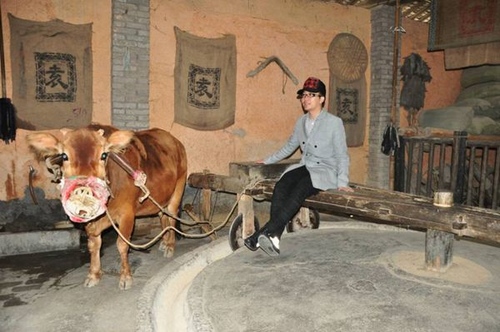 Mr Liyugang Intoxicated in ZJJ Wulingyuan Scenery