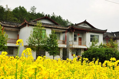 The Beautiful Scenery in ZJJ Bimodal National Ecological Village