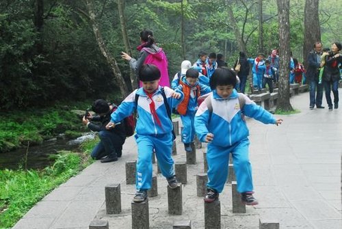 ZJJ National Forest Park Witnessed a Hot“Forest science tour”