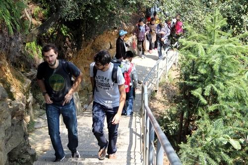 Foreign Tourists Travel in Zhangjiajie National Forest Park