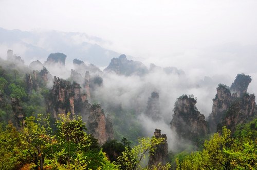 ZJJ Wulingyuan Appeared a Sea of Clouds after Raining