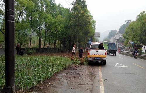 ZJJ Wulingyuan Focused on Beautifying Roadside Environment