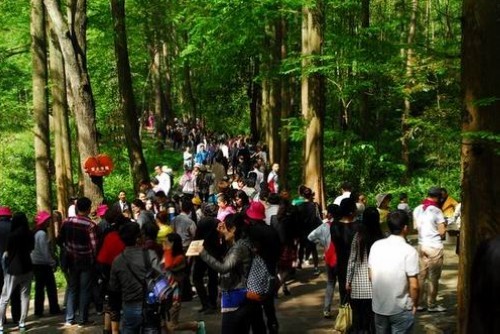 ZJJ Wulingyuan Welcomes 230,000 Visitors on Labor Day