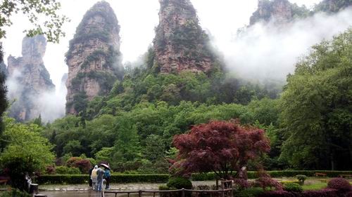 ZJJ National Forest Park like a Wonderland after Rain