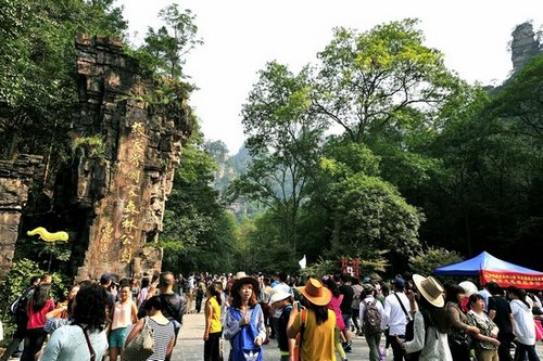 “ZJJ Forest Park Low-carbon Implementation Project”was Approved Lately