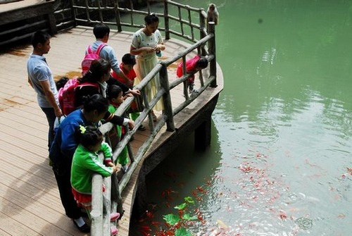 ZJJ National Forest Park Witnessed a Hit of Parent-child Tour