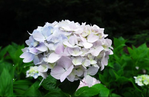 China’s First Special Outdoor Riding Games Will be held in ZJJ Laodao Bay