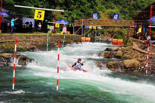 International Transportation Experts Gather in Changsha