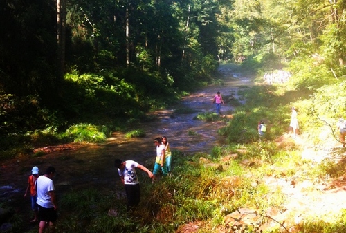Zhangjiajie Displays Its Unique Landscapes to the World