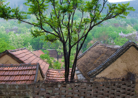 ZJJ Shiyanping Ancient Village Sets Rules to Protect Old Houses