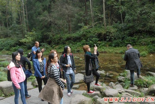 Thailand Mainstream Media Group Visited ZJJ National Forest Park