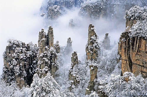 The Southern TV Focused on ZJJ Wulingyuan winter tourism