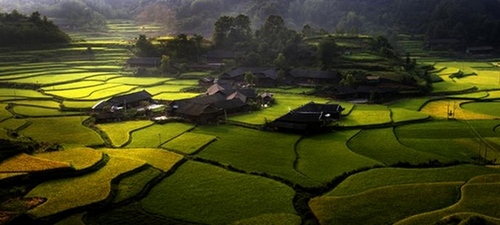 ZJJ Shiyanping Village Was Presented in Documentary on CCTV4