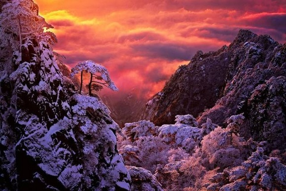 ZJJ Wulingyuan scenic area ushers in New Year’s First Snow