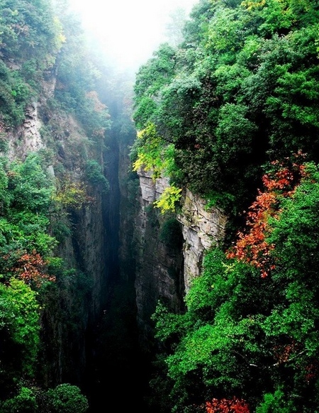 Hunan to Promote Mutual Development with Yangtze River Economic Zone