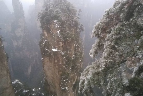 Snow-covered ZJJ Core Scenic Area with Amusing Wild Moneys