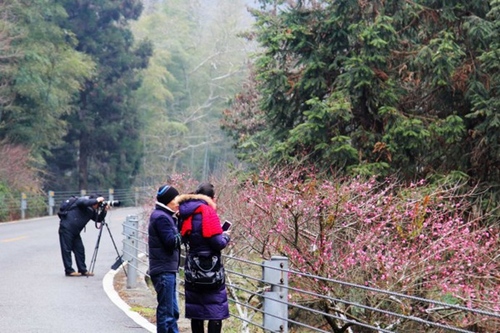 The Guests Favoring Plum Blossoms and Snow in ZJJ Huangshi Village
