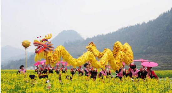 Zhangjiajie Invites Tourists to Plant Trees