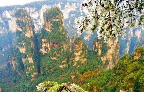 Rime Wonders in ZJJ Huangshi Village Scenic Area